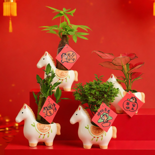 【新年吉祥物】新年马陶瓷花盆摆件富贵竹发财树盆栽喜庆布置送礼