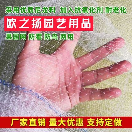 防鸟网果树果园大棚尼龙线防鸟用网农用樱桃树嘉宝果葡萄鱼塘天网