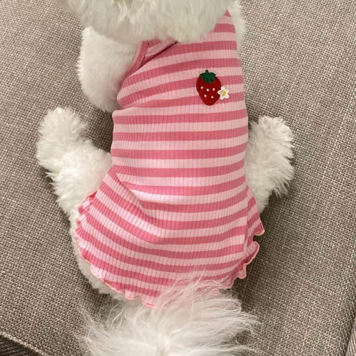 宠物猫咪狗狗衣服夏季薄款小型犬比熊博美泰迪春夏防掉毛条纹背心