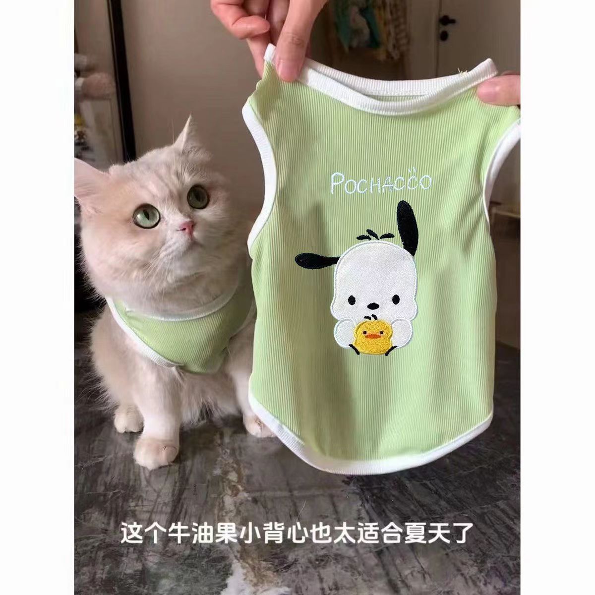 狗狗猫咪衣服宠物夏天小狗泰迪比熊雪纳瑞小型幼犬清凉款冰丝背心图片