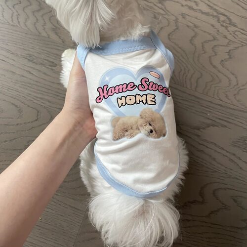 美式复古辣妹小狗狗夏天背心马尔济斯比熊泰迪博美约克宠物狗衣服