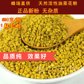 2025湖北春天新鲜活性蜂农自产正宗油菜花粉 油菜蜂花粉500g