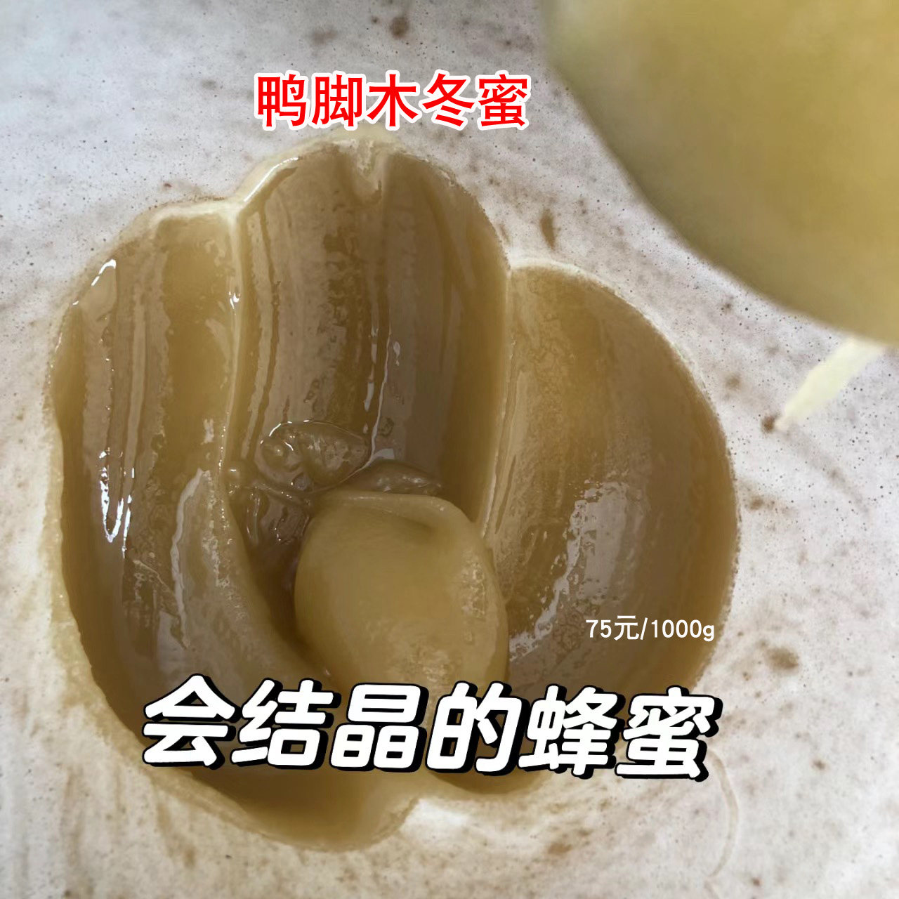 正宗蜂农自产岭南鸭脚木冬蜜封盖成熟原蜜 结晶鹅掌柴蜂蜜