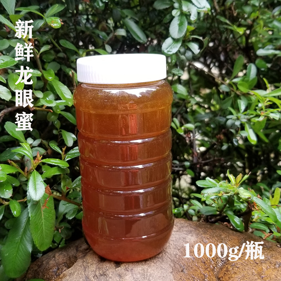2025新鲜桂圆蜜 纯正天然龙眼蜜农家自产野生无添加蜂蜜