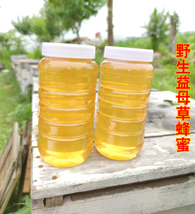 2025新鲜益母草蜂蜜 天然成熟原蜜蜂场自产不怕姨妈痛月月顺2斤装