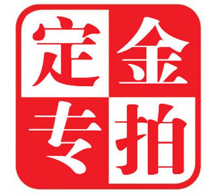 非标 定金专拍 各项专拍