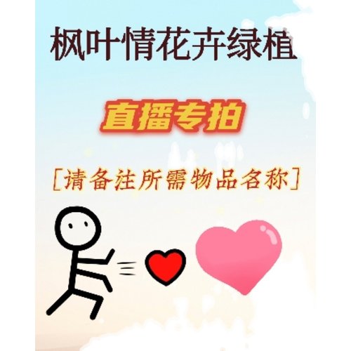枫叶情花卉绿植——直播专拍链接