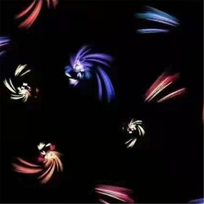 羽绒服面料高档厚款印花布料