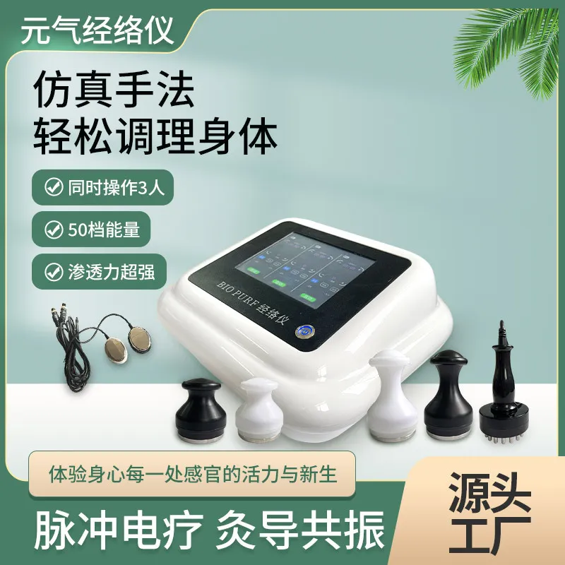 元气植经络仪中国长春触摸屏脉冲生物电疗仪疏通经络养生理疗仪器