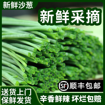 来自大漠的野味沙葱，辛香爽口