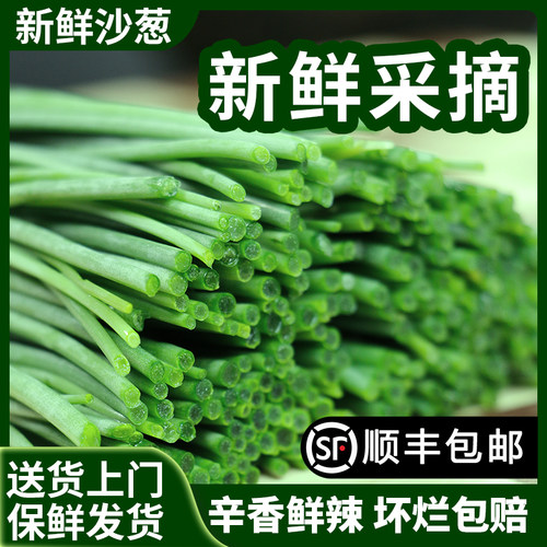 来自大漠的野味沙葱，辛香爽口