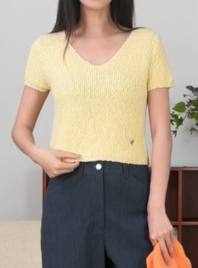 KO两色韩国进口豆豆纱存在感万能v领短袖针织衫KIA短款女士上衣
