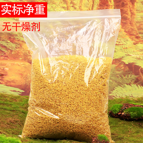 金丝皇菊菊花茶散装花草茶叶