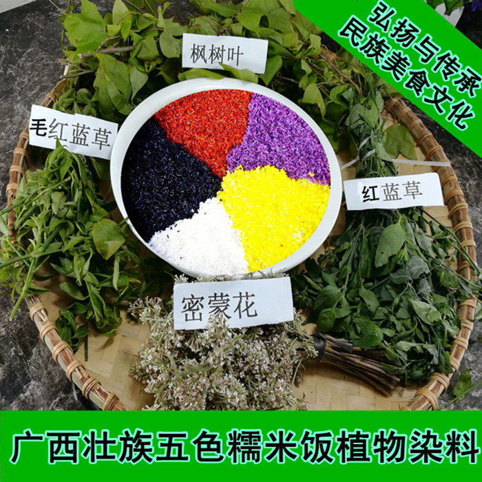 广西特产五色糯米饭植物染料染饭花密蒙花红蓝草黄饭花紫蓝草枫叶