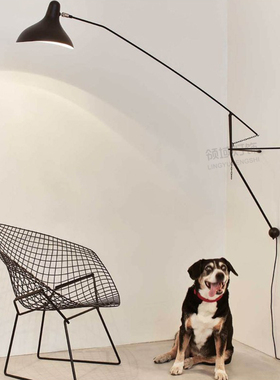 空间装饰摇臂灯客餐厅书房loft法国DCW设计黑色Mantis壁灯落地灯