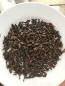 地牯牛 350元 优质蚁狮 包邮 50克 2022年新货金沙牛