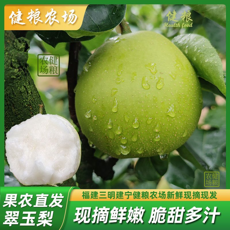 新鲜翠玉梨5/10斤福建省三明建宁黄花梨之乡翠冠梨同树苹果青皮梨