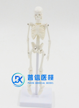 21cm白色迷你型医用美术绘画瑜伽人体全身骨骼骷髅骨架模型送支架