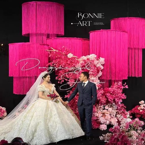 婚庆线帘背景布置加密款