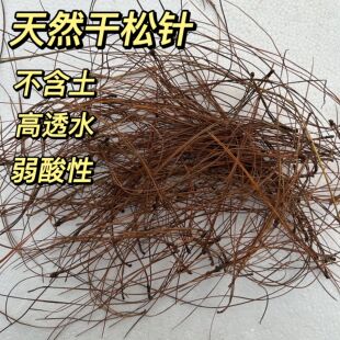 云南天然兰花松针土腐叶腐熟松针多肉君子兰专用天然营养腐殖土