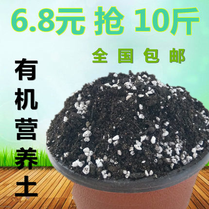 营养土大包种菜种植多肉土泥炭种花土养花培养育苗土有机肥料