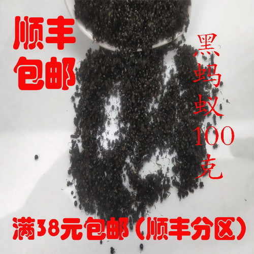 正品黑蚂蚁可打超细粉100克