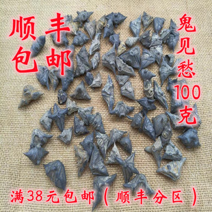 中药材 正品 鬼见愁 菱角壳 可打超细粉 无硫 100克 满38元包邮