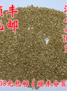 中药材 正品 浮小麦 浮麦 可打超细粉 无硫  100g满38元包邮