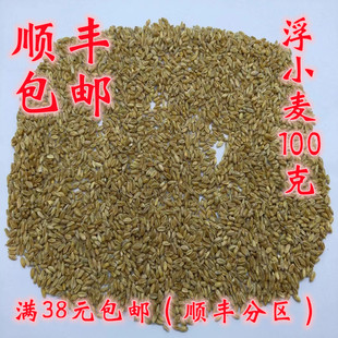 中药材 正品 浮小麦 浮麦 可打超细粉 无硫 100g满38元包邮