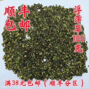 中药材 正品 浮萍草 水萍 水萍草 可打超细粉 100g购满38元包邮