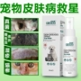 Pu Shi Kang Kang Kang phun vật nuôi chó mèo nấm rệp bệnh da da 癣 phun thuốc tẩy giun ngoài - Cat / Dog Medical Supplies thiết bị y tế thú y