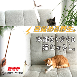 日本进口弹簧逗猫棒三联动系统灵活运动三种替换头套装 猫咪世界