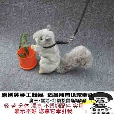 松鼠牵引绳链子花枝龙猫