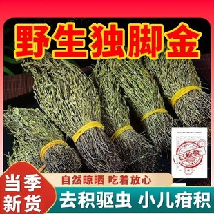 广西正宗野生独脚金草药疳积草厌食小儿儿童开胃汤独角金黄花草