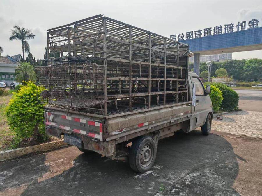 1月28日肇庆车牌号为粤HR7329五菱牌轻型栏板货车网络拍卖公告