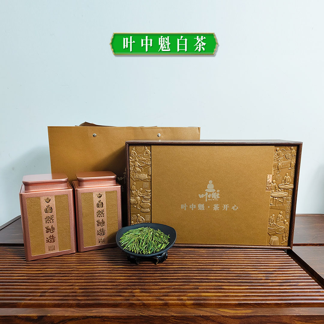 叶中魁白茶 | 皖南山区白叶一号明前白茶300克/盒2025春茶