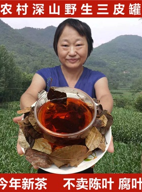三皮罐茶叶凉茶新货湖北海棠叶茶大碗茶大叶茶一匹罐野生三匹罐茶