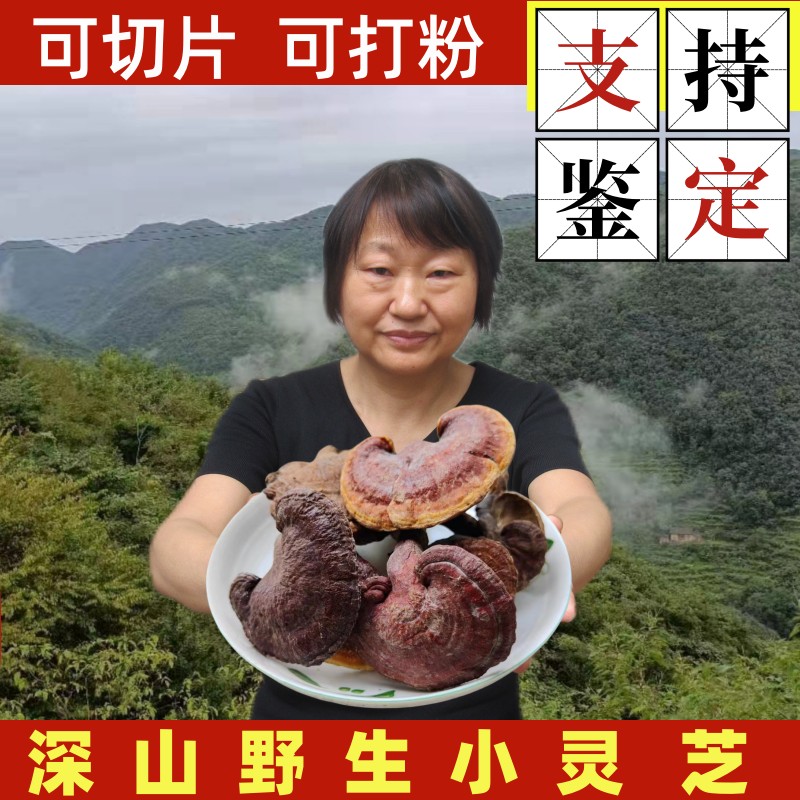 灵芝野生灵芝正品中药材神农架林芝整枝灵芝片灵芝粉250g小赤灵芝