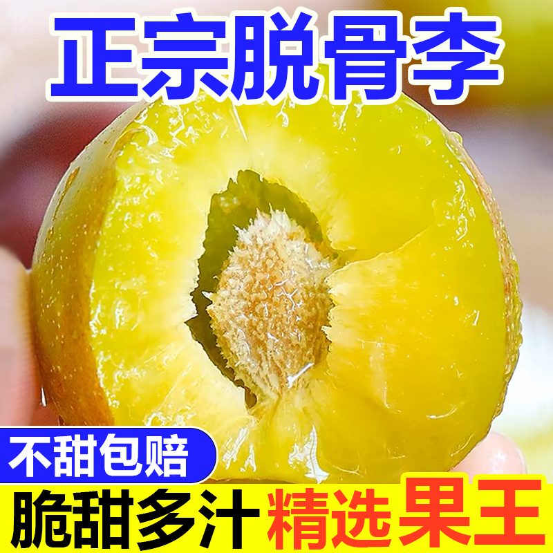 四川半边红茵红李脱骨高山孕妇水果酸甜离核脱骨新鲜当季青红李子