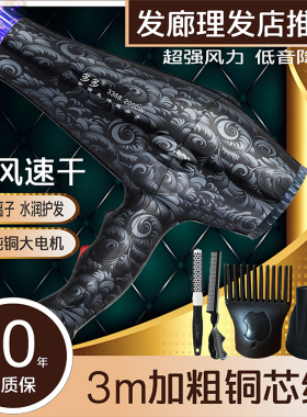 吹风机大风力家用理发店发廊风筒