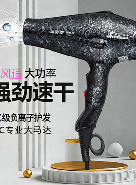 吹风机发廊专用大功率家用大风力