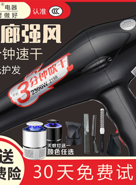 电吹风机发廊家用大功率静音发廊