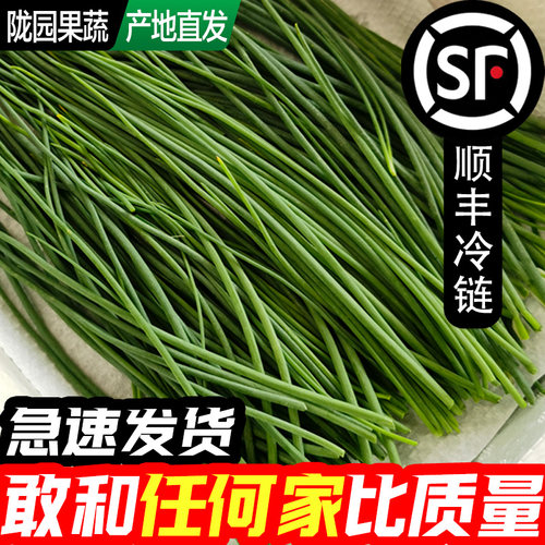【送上门】新鲜沙葱5斤批发商用