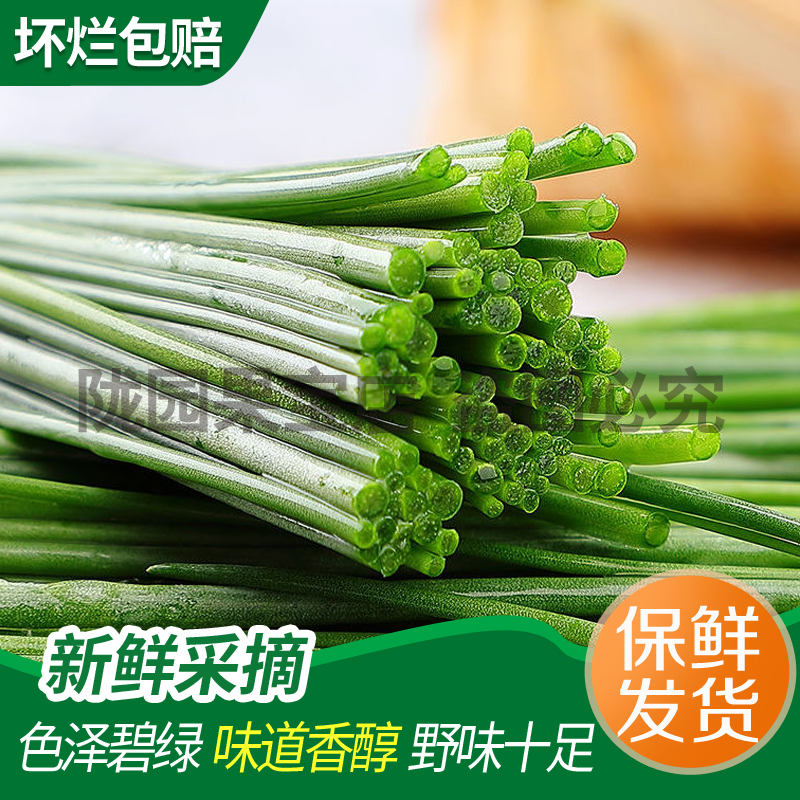 顺丰包邮现采新鲜沙葱脆嫩爽口