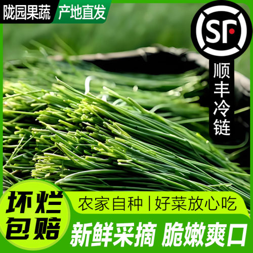 甘肃民勤沙葱现采现发新鲜蔬菜沙葱产地直发香葱小葱【顺丰包邮】