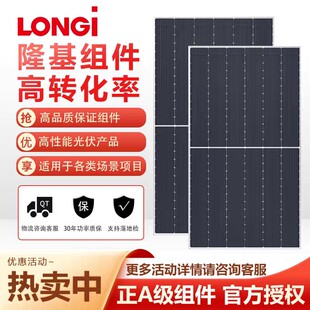 隆基A级单晶硅双玻双面550-605W光伏板发电组件发电板充电板车用