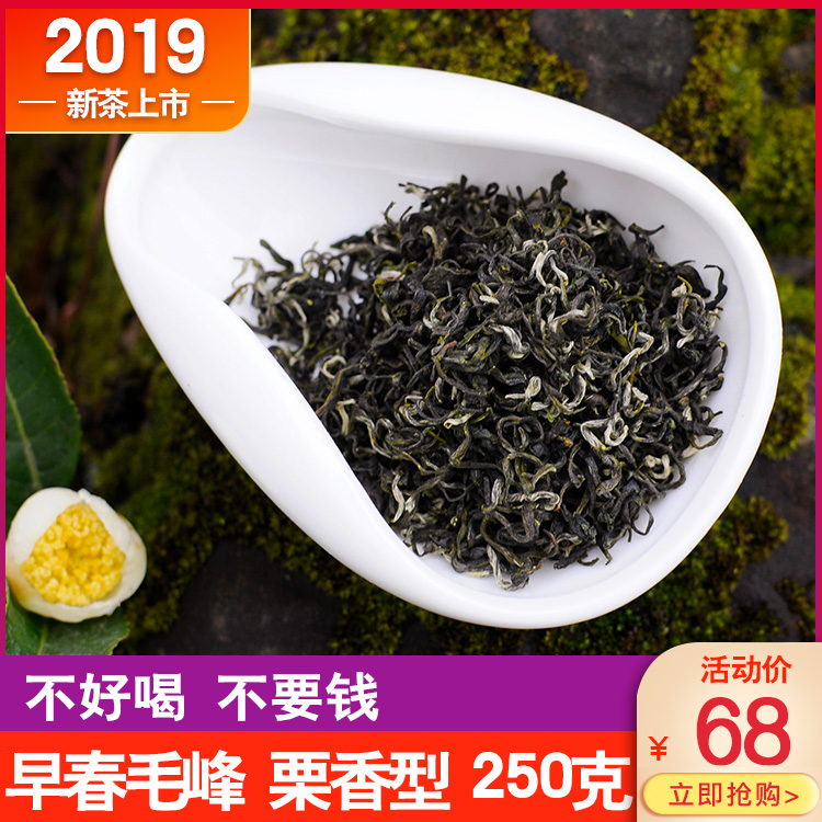 敦蒙绿茶2022新茶蒙顶山绿毛峰日照充足毛尖茶叶250克