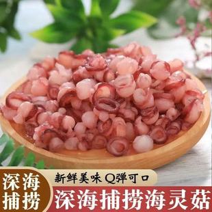 海灵菇大号商用辣炒新鲜冷冻章鱼鱿鱼吸盘生鲜麻辣小海鲜饭店顺丰