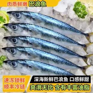 【买5斤送5斤】巴浪鱼野生新鲜活现捕冷冻海鲜鲅鱼棍子鱼商用批发