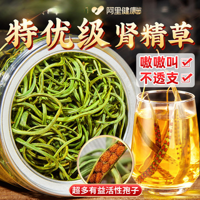 长白山野生肾精茶黄金草嗷嗷叫化石草男士养生正品官方滋补强肾茶